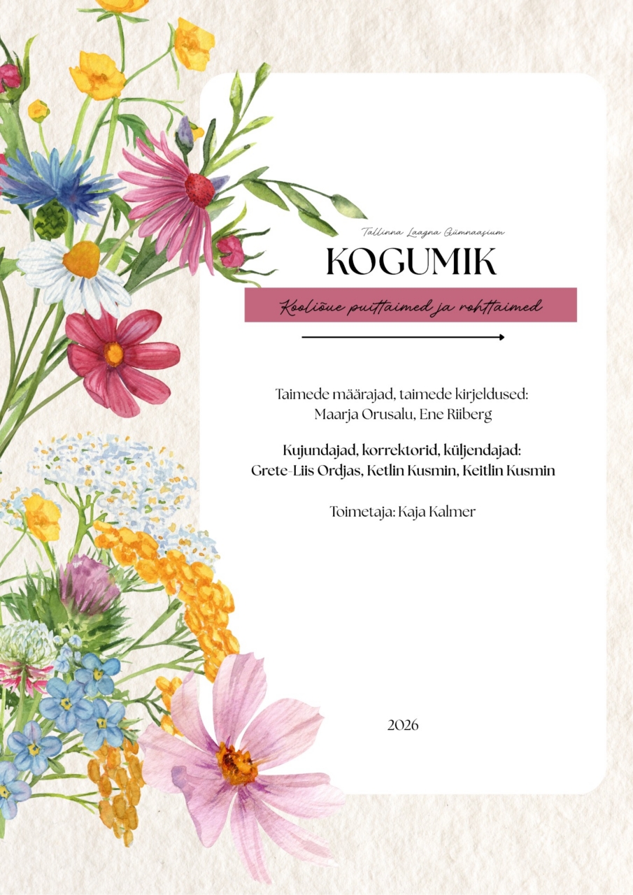 KOGUMIK 1 TIITELLEHT
